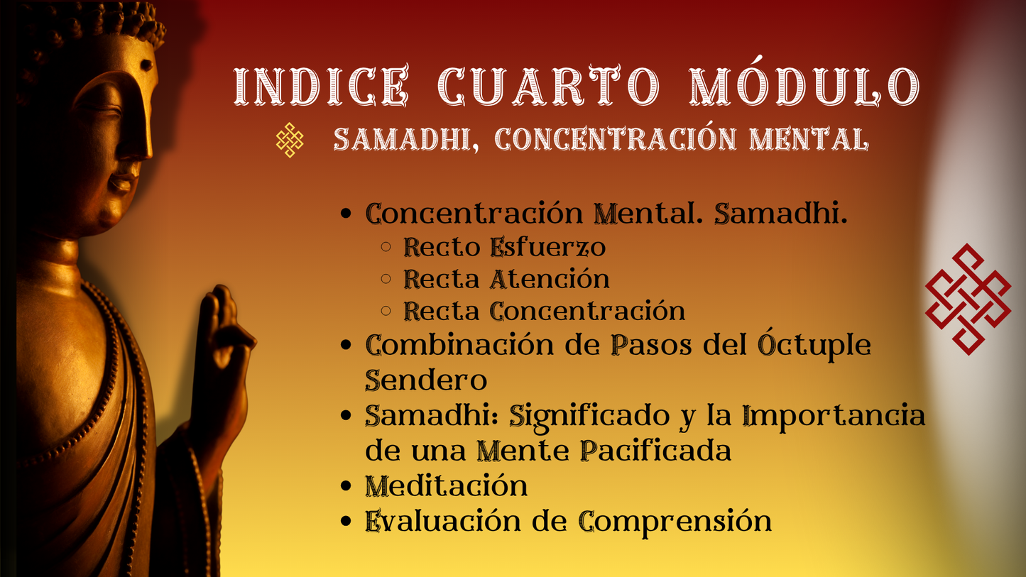 Budismo Práctico: 12 pasos para una Vida Plena.