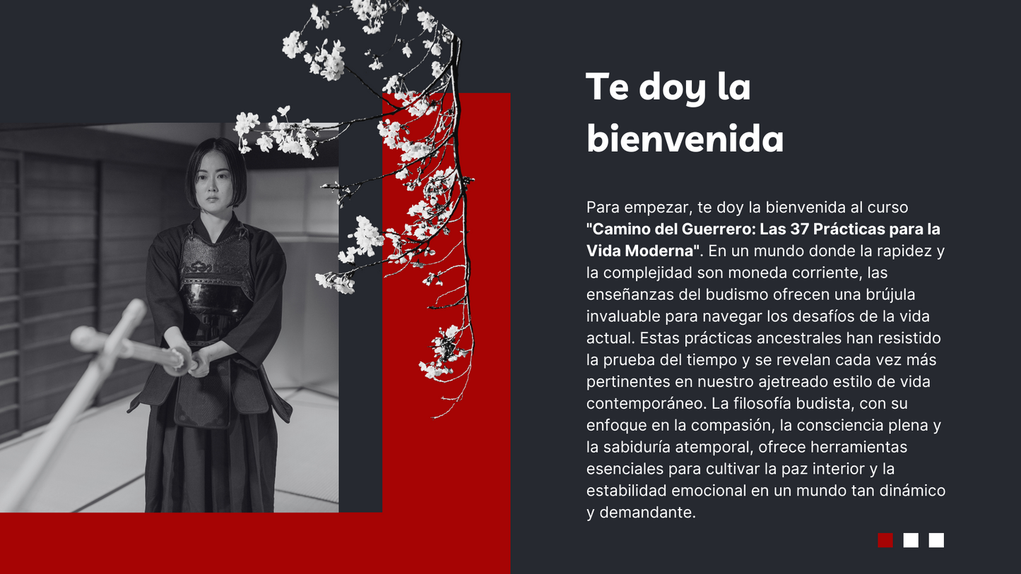 Camino del Guerrero Espiritual: Las 37 Prácticas para la Vida Moderna