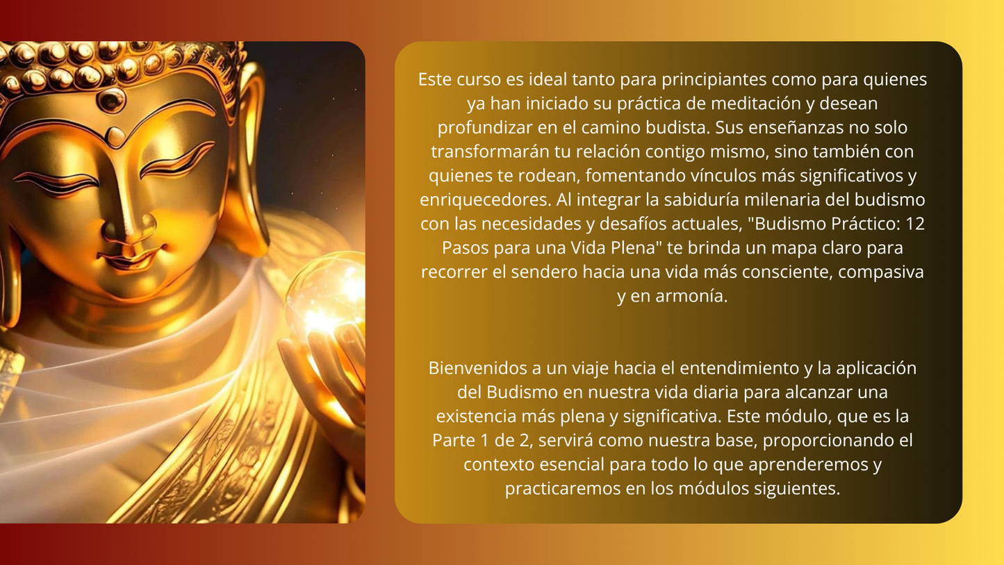Budismo Práctico: 12 pasos para una Vida Plena.