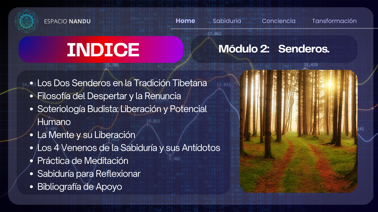 Trascendiendo la Mente: Sabiduría, Conciencia y Transformación.