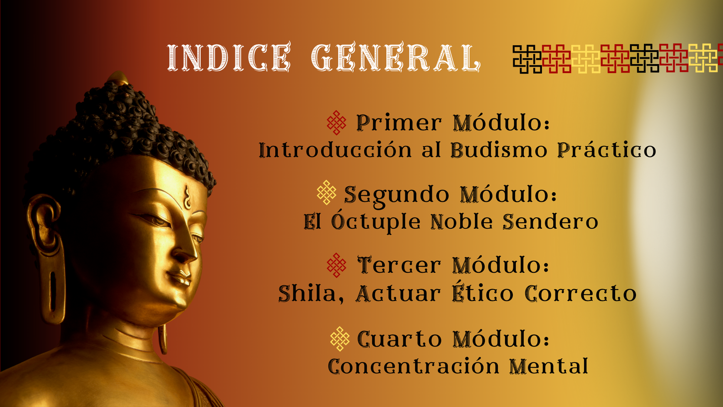 Budismo Práctico: 12 pasos para una Vida Plena.