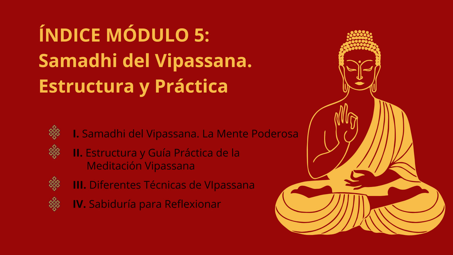 Claridad Mental: El Poder Transformador de Vipassana.