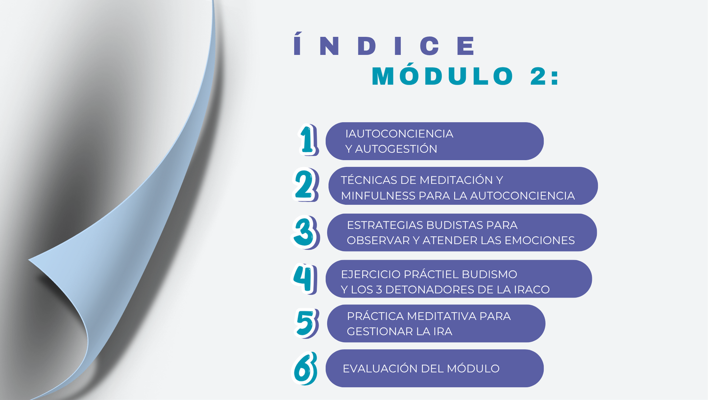 Calma en la Tormenta: Claves para Manejar la Ira con Inteligencia Emocional.