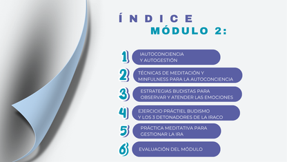 Calma en la Tormenta: Claves para Manejar la Ira con Inteligencia Emocional.