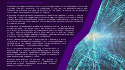 Descifrando 'The Matrix': Revelando su Misterio Filosófico.