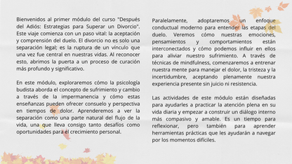 Después del Adiós: Estrategias para Superar un Divorcio