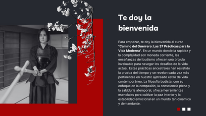 Camino del Guerrero Espiritual: Las 37 Prácticas para la Vida Moderna