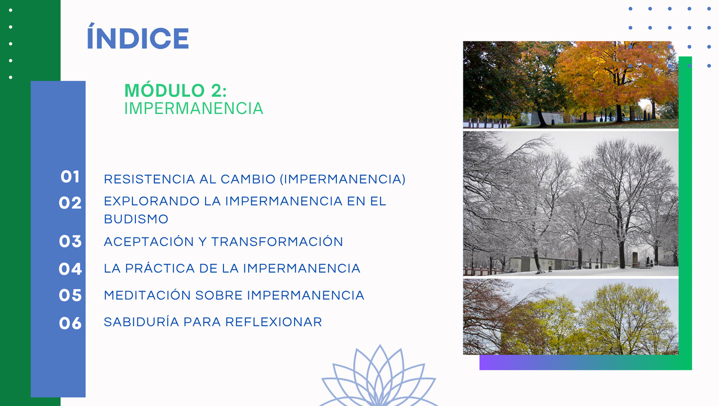 Claves de la Realidad: Un Viaje hacia la Verdad.