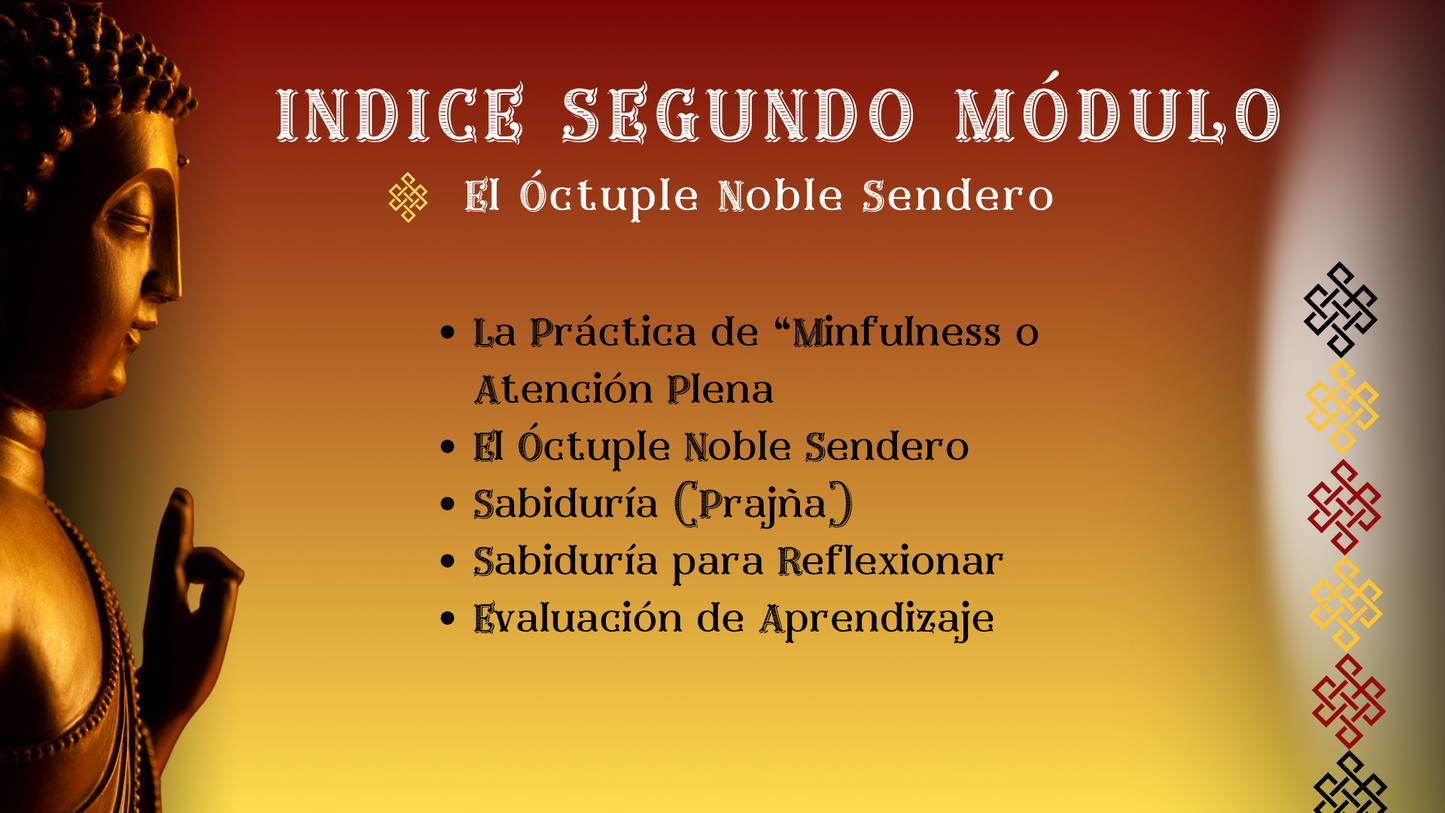 Budismo Práctico: 12 pasos para una Vida Plena.