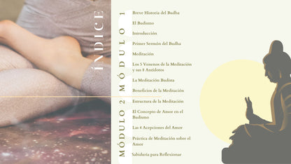 El Camino de la Transformación: Curso integral de meditación budista.