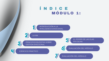 Calma en la Tormenta: Claves para Manejar la Ira con Inteligencia Emocional.