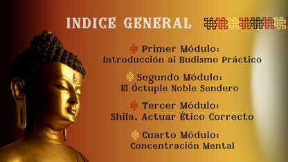 Budismo Práctico: 12 pasos para una Vida Plena.