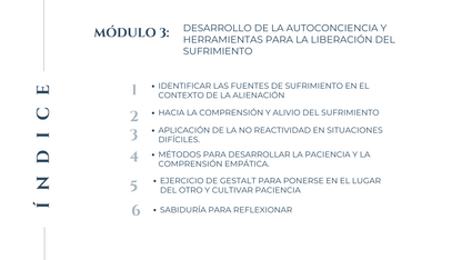 Superando la Alienación Parental: Guía para Padres.