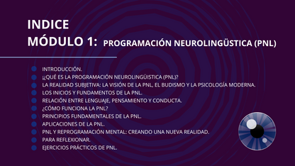 El Lenguaje Secreto del Éxito: Hipnosis y PNL Básicos para el Cambio Personal.