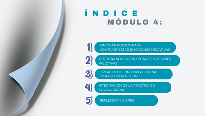 Calma en la Tormenta: Claves para Manejar la Ira con Inteligencia Emocional.