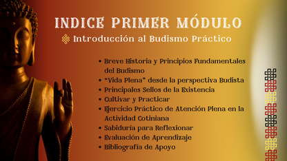 Budismo Práctico: 12 pasos para una Vida Plena.