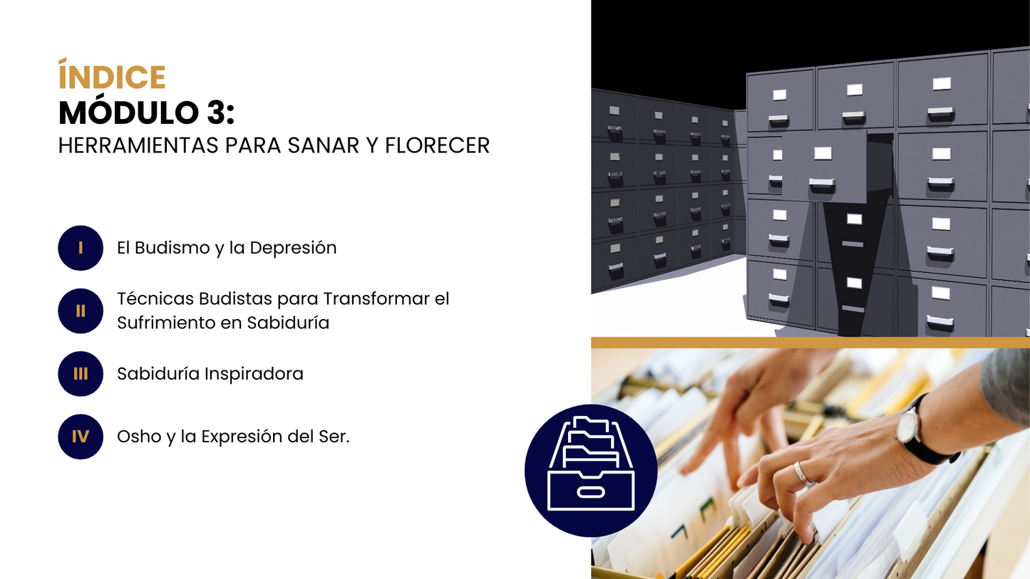 Equilibrio Anímico: Herramientas para Combatir la Depresión.