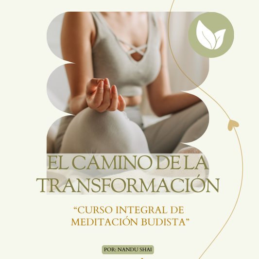 El Camino de la Transformación: Curso integral de meditación budista.